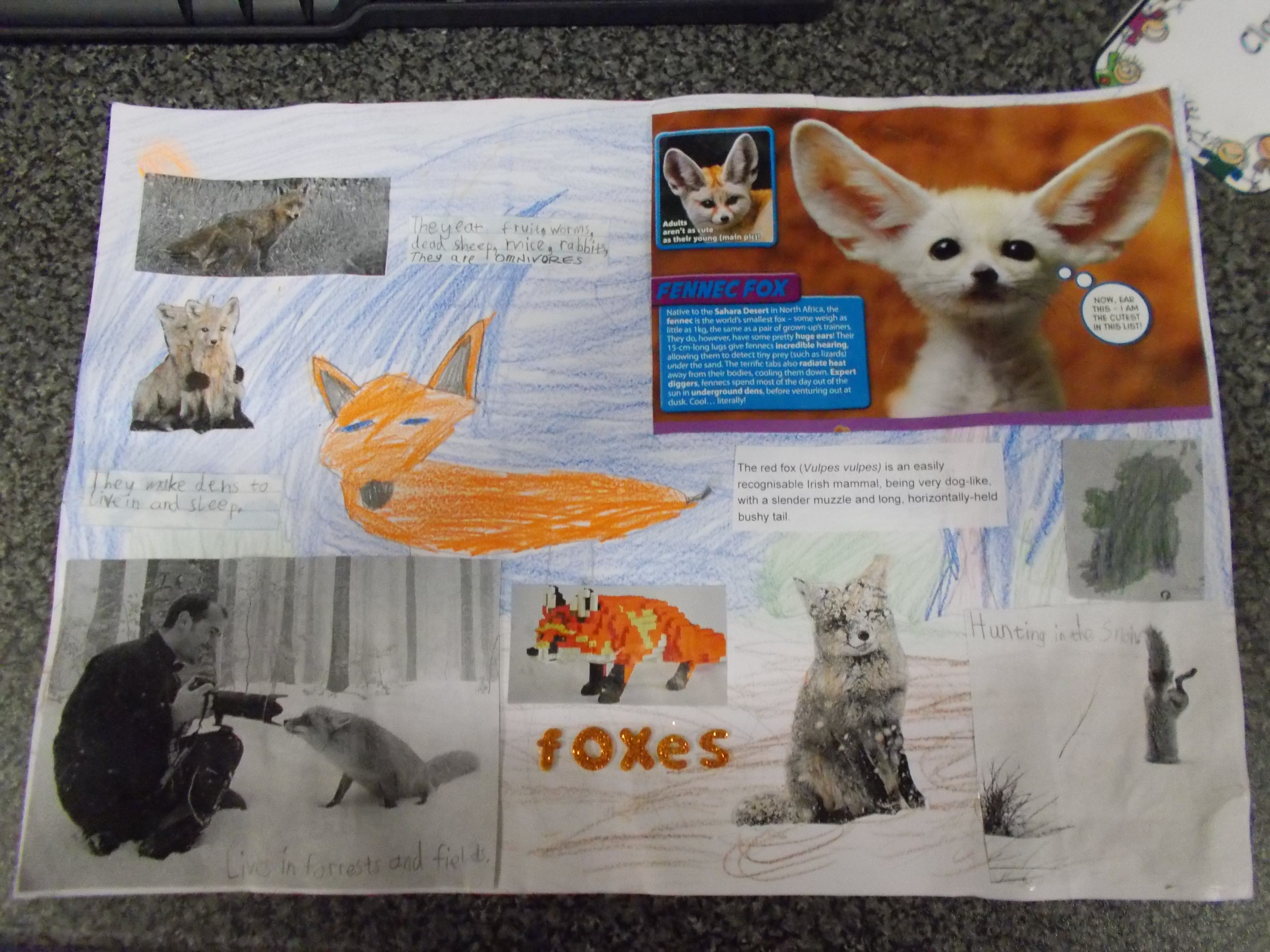 First Class Project – My Favourite Animal – Glencullen School