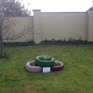 Tidy towns3